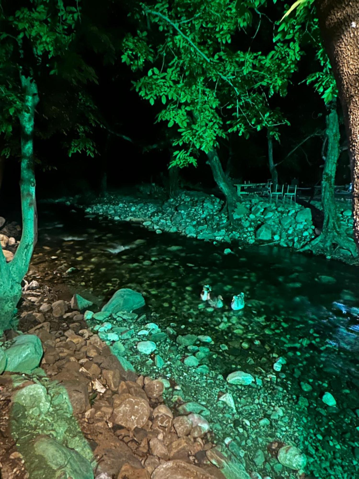 Sakliderebutikotel 에드레미트 외부 사진