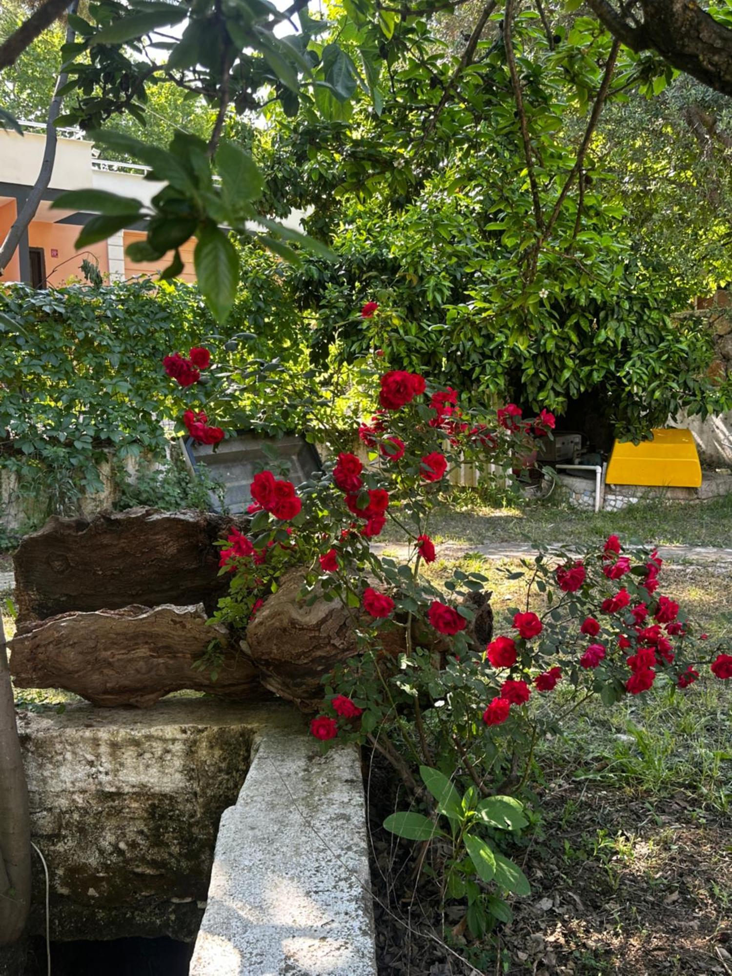 Sakliderebutikotel 에드레미트 외부 사진